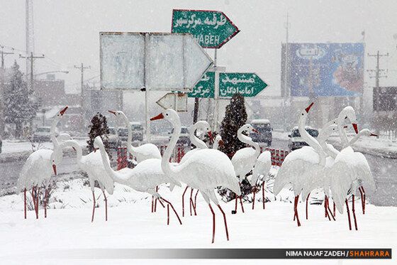 بارش برف در مشهد 