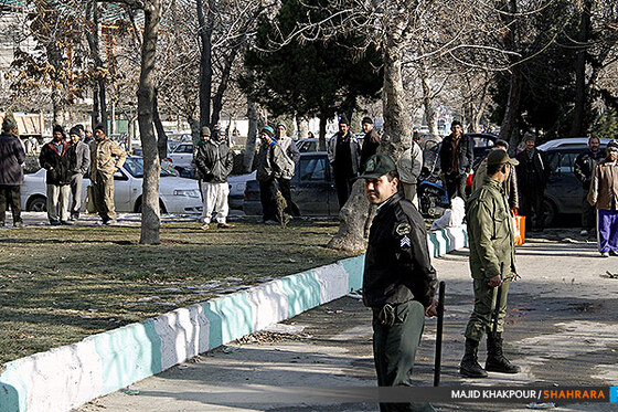 پلمپ کبوتر فروشی های متخلف