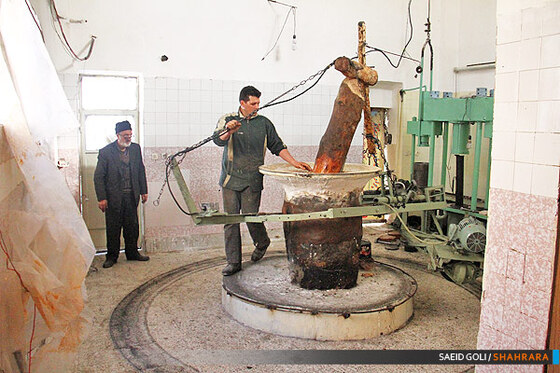 روغن گیری 