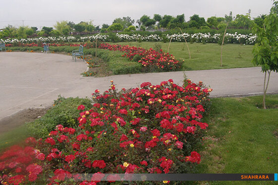 بوستان های منطقه 4