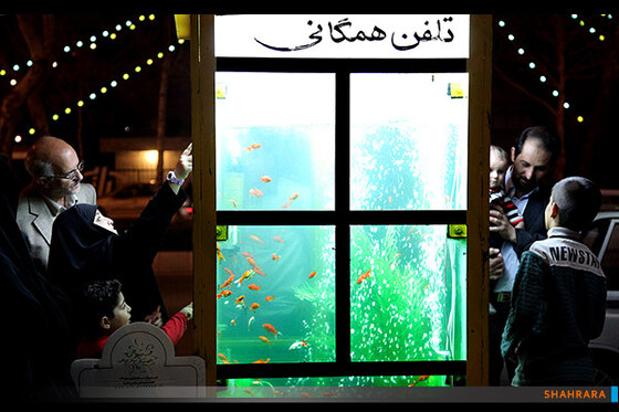بخش حرفه ای/اول: محسن داوود آبادی فراهانی
