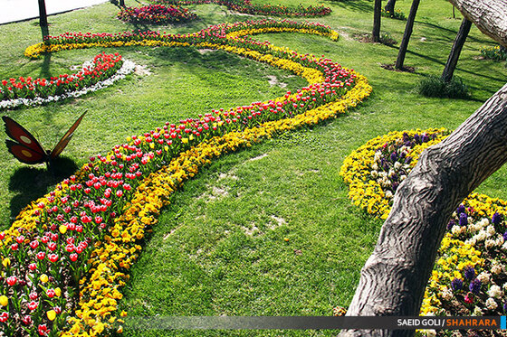 جشنواره گل های پیازی