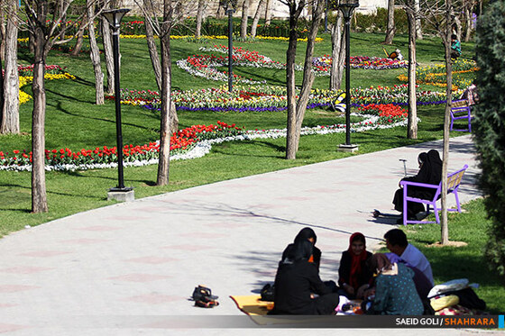 جشنواره گل های پیازی