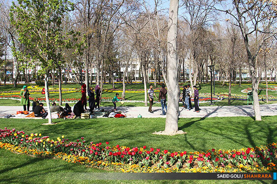 جشنواره گل های پیازی