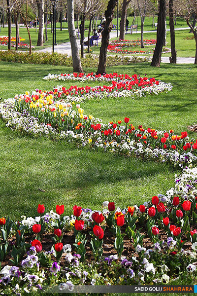 جشنواره گل های پیازی