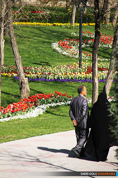 جشنواره گل های پیازی