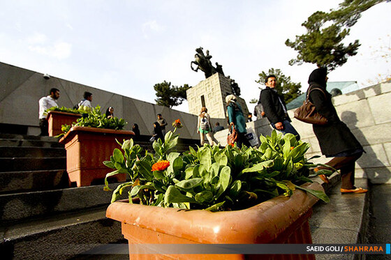 باغ موزه نادری