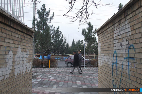 دیوارهای زشت 