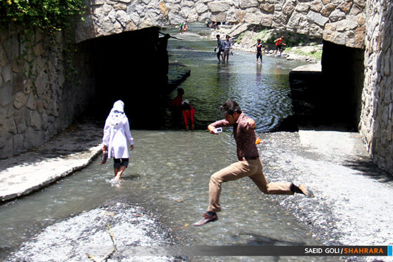 بوستان جنگلی وکیل آباد