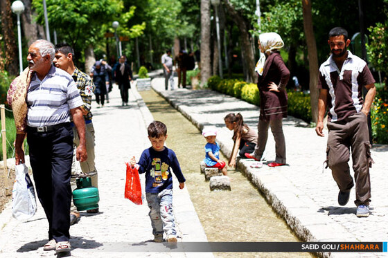 بوستان جنگلی وکیل آباد