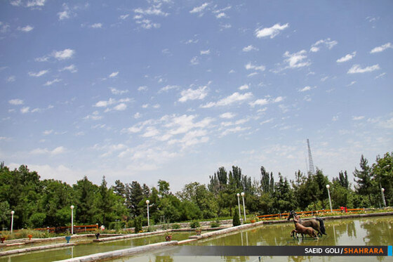 بوستان جنگلی وکیل آباد