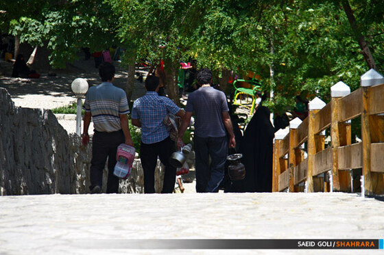 بوستان جنگلی وکیل آباد