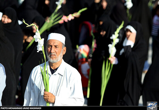 گلباران حرم امام رضا(ع)