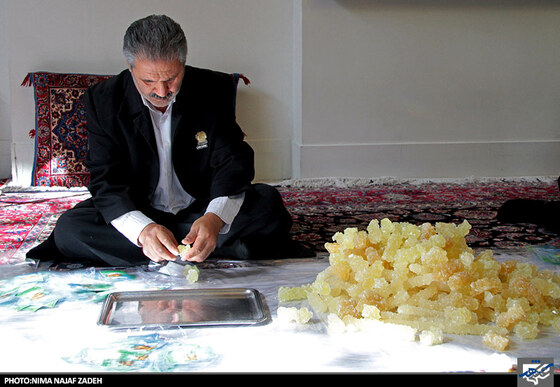 بسته بندی نبات توسط خادمان رضوی
