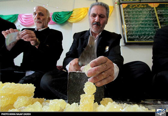 بسته بندی نبات توسط خادمان رضوی