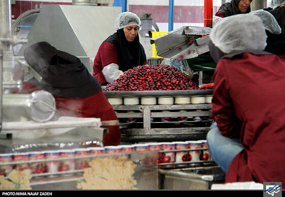 کارخانه تولید کمپوت گیلاس