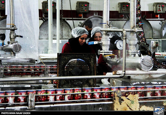 کارخانه تولید کمپوت گیلاس