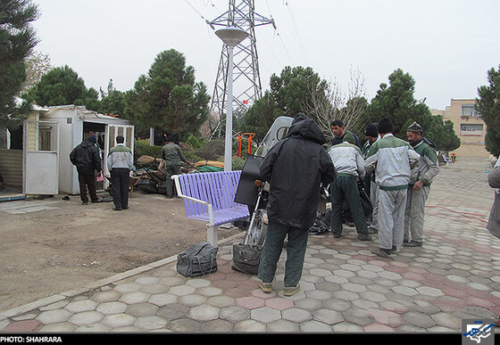 باغبانان شرقی در بوستان جنگلی شاهد