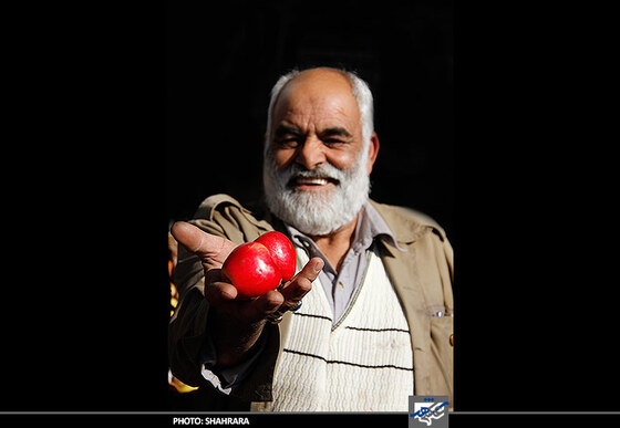 بازاری گرم برای یک شب سرد