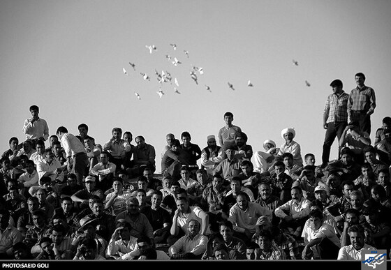 کشتی با چوخه