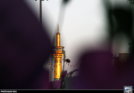 بیعت با امام مهربانی