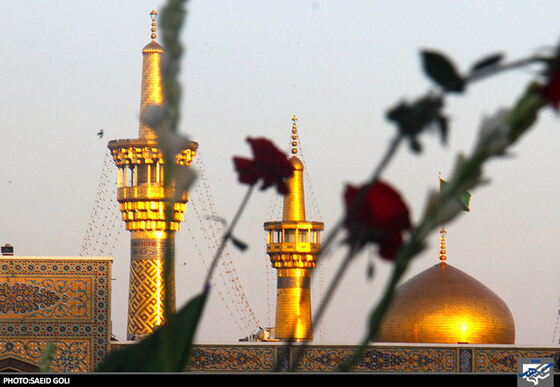 بیعت با امام مهربانی
