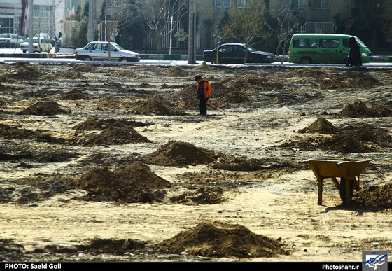 کاشت صدها درخت به یاد شهدای دفاع مقدس