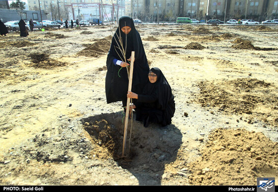 کاشت صدها درخت به یاد شهدای دفاع مقدس