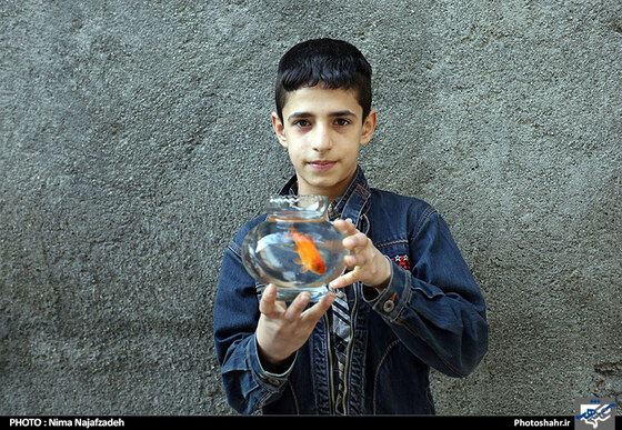 گزراش تصویری بازار فروش ماهی قرمز در آستانه سال نو 