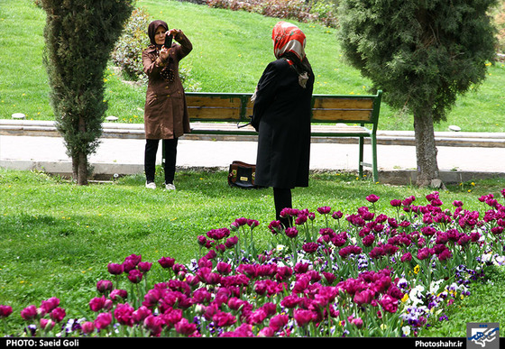 گزارش تصویری | جشنواره گل های پیازی در مشهد ، عکاس : سعید گلی