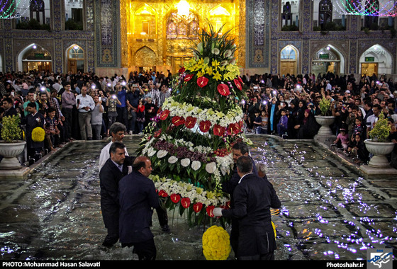 گزارش تصویری / حرم رضوی در شب میلاد امام رضا (ع) / عکس : محمد حسن صلواتی / شهرآرا