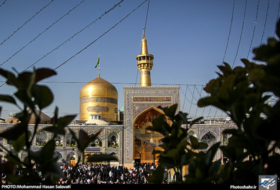 گزارش تصویری / حرم رضوی در شب میلاد امام رضا (ع) / عکس : محمد حسن صلواتی / شهرآرا