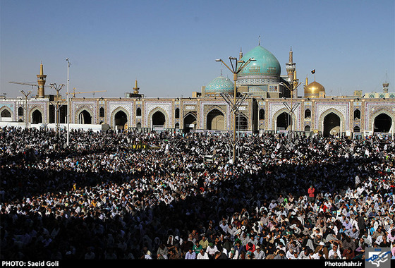 گزارش تصویری  | مراسم معنوی دعای عرفه در حرم رضوی | عکس : سعید گلی /شهرآرا
