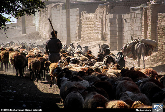 همین جا " بدون آبادی " | گزارش تصویری از روستای محروم کلاته سید | عکس : محمد حسن صلواتی / شهرآرا