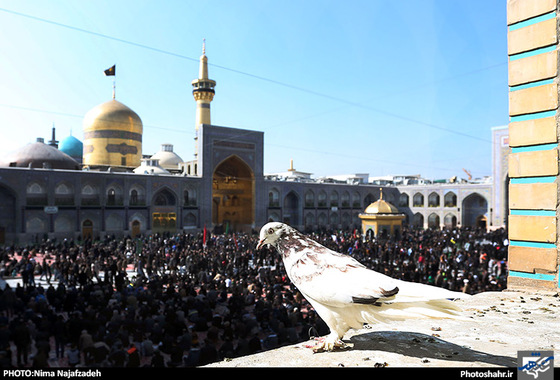 گزارش تصویری | عاشورای حسینی در مشهد |عکس: نیما نجف زاده / شهرآرا