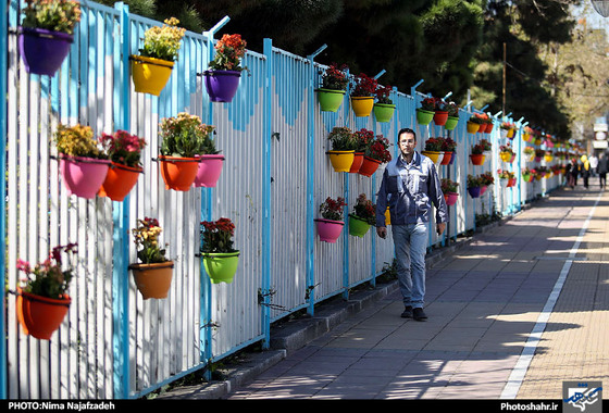گزارش تصویری | المان های نوروزی در مشهد | عکس : نیما نجف زاده / شهرآرا