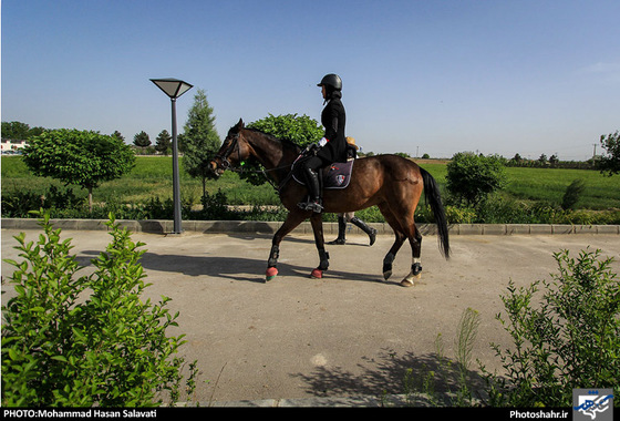 گزارش تصویری |  اولین دوره مسابقات پرش با اسب استان خراسان رضوی | عکس : محمد حسن صلواتی / شهرآرا