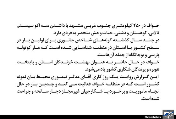 گزارش تصویری | یک روز کاری با آقای محیط بان | عکاس: محمد حسن صلواتی /شهرآرا