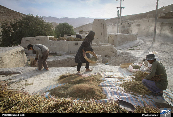 گزارش تصویری | حضور جوانان جهادگر در مناطق محروم شهرستان سرخس | عکاس : سعید گلی / شهرآرا