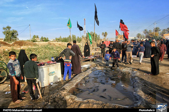 راهپیمایی اربعین حسینی از نجف به کربلا عکس محمد حسن صلواتی شهرآرا