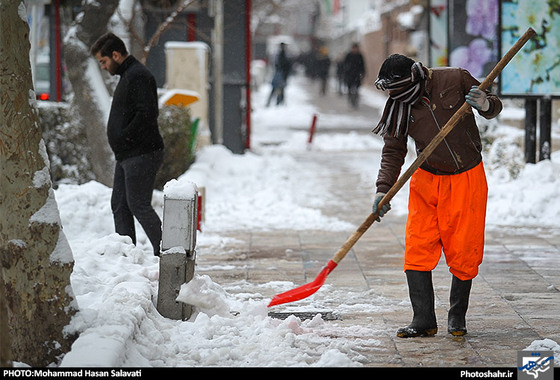 گزارش تصویری / بارش برف در مشهد / عکس : محمد حسن صلواتی /شهرآرا