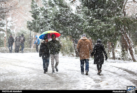 گزارش تصویری / بارش برف در مشهد / عکس : علی عبداللهی /شهرآرا