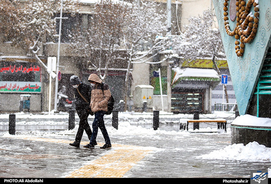 گزارش تصویری / بارش برف در مشهد / عکس : علی عبداللهی /شهرآرا