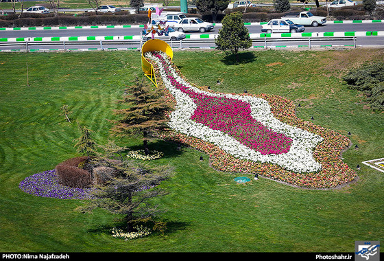 گزارش تصویری | گل آرایی و نصب المانهای گل در سطح شهر مشهد | عکاس : نیما نجف زاده /شهرآرا