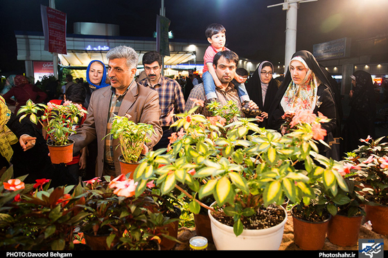 گزارش تصویری | شانزدهمین نمایشگاه گل و گیاه مشهد | عکاس : داود بهگام /شهرآرا