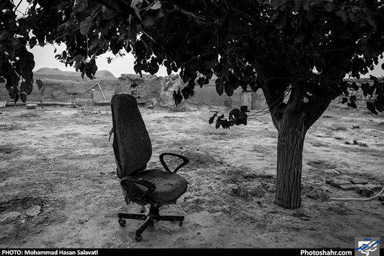  درخت توت در روستای«کلاته صمد»؛ درخت های توت از معدود درختانی است که به دلیل داشتن ریشه های قوی در روستا خشک نشده اند.