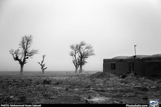 درختان خشکیده در ورودی روستای «کلاته صمد» حکایت از خشکیده بودن سفره های آب زیرزمین و قنات ها در این روستا دارد.