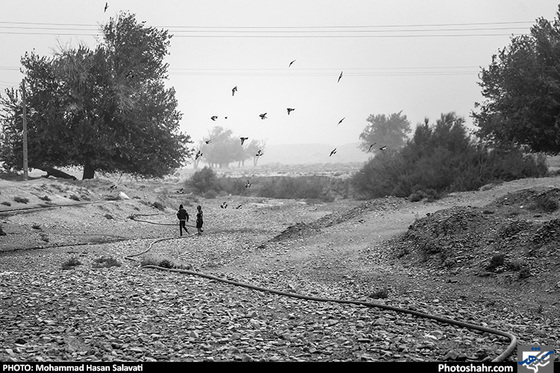 لوله هایی که آب قنات روستای «کلاته باغی» را به باغ های این روستا منتقل می کردند بر اثر سیل کاملا تخریب شده است.