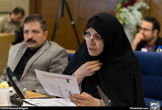 هفتمین جلسه علنی پنجمین دوره شورای اسلامی شهر مشهد مقدس / داود بهگام