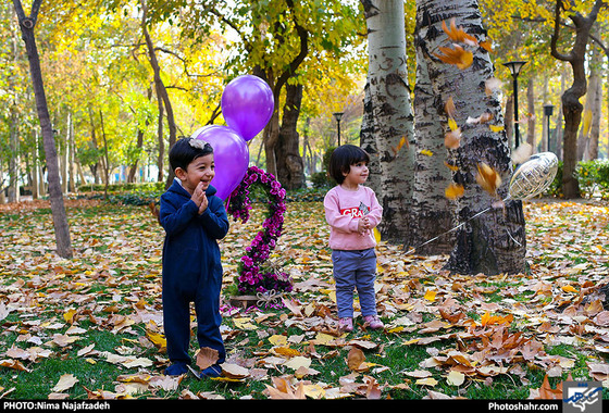 جلوه‌های پاییز در مشهد / عکس : نیما نجف زاده / شهرآرا